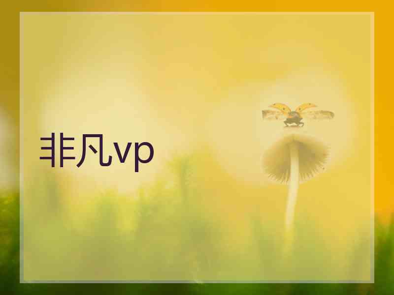 非凡vp