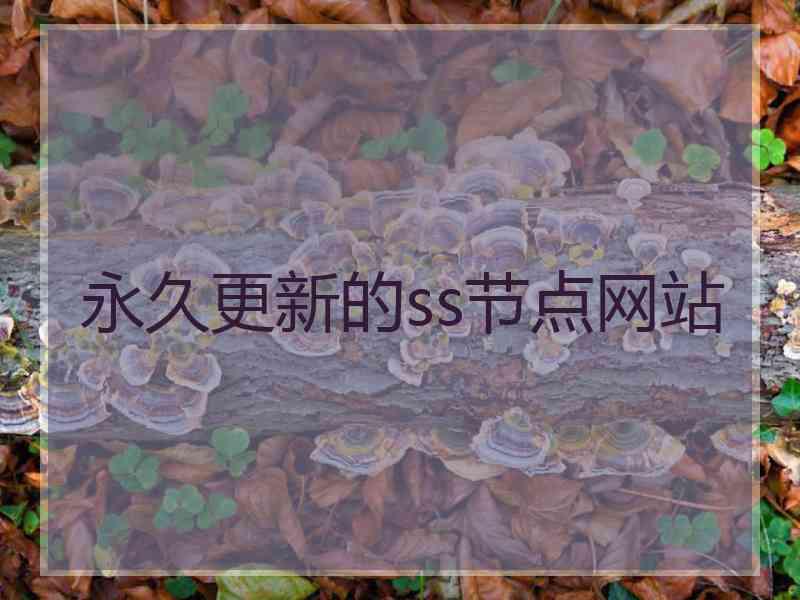 永久更新的ss节点网站