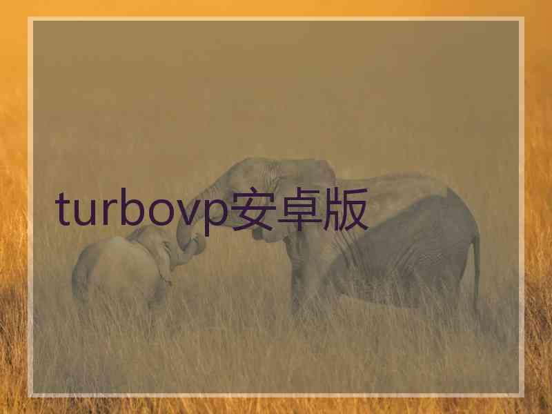 turbovp安卓版