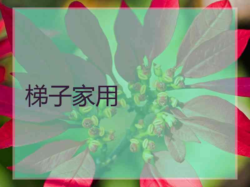 梯子家用