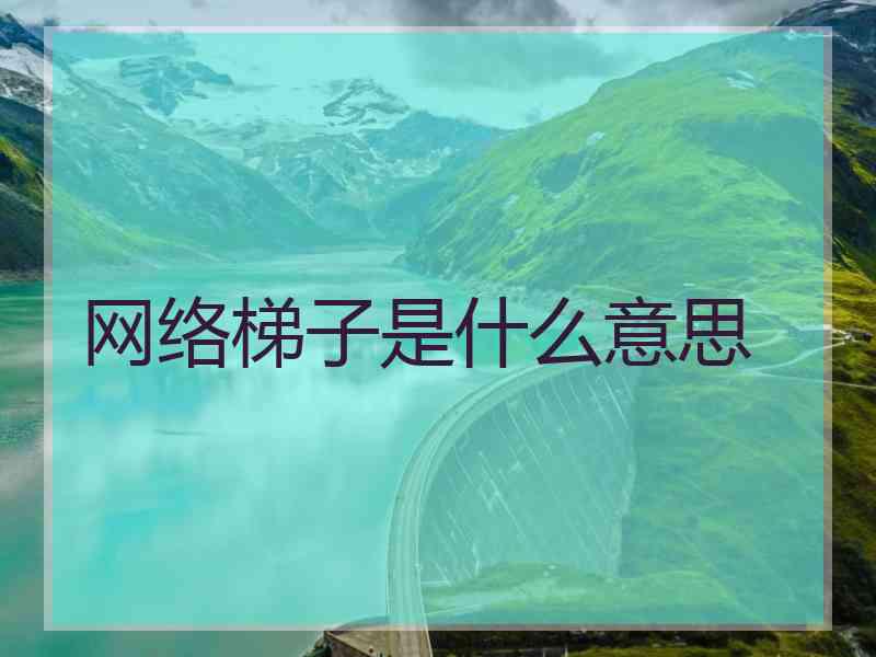 网络梯子是什么意思