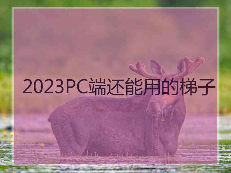 2023PC端还能用的梯子