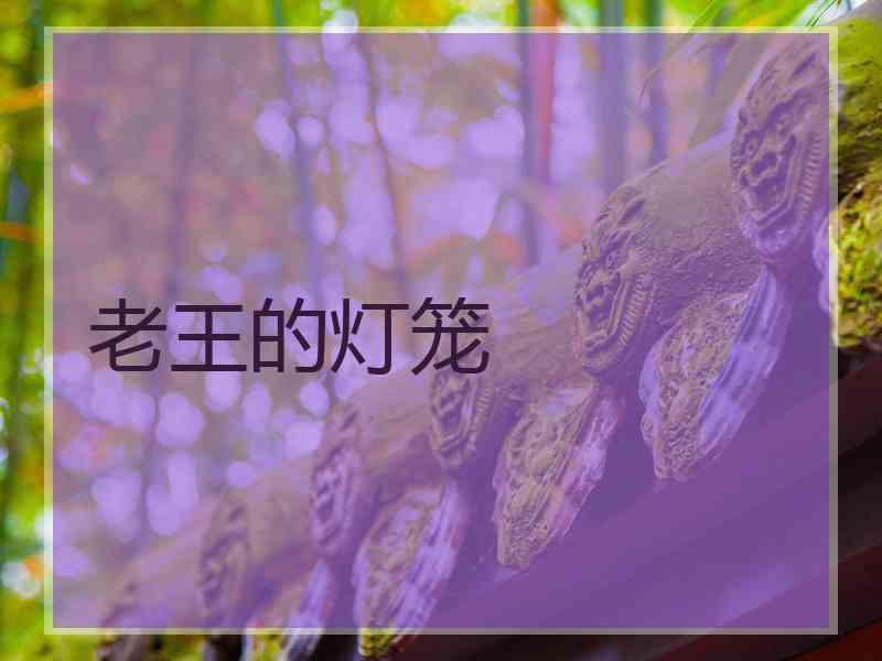 老王的灯笼