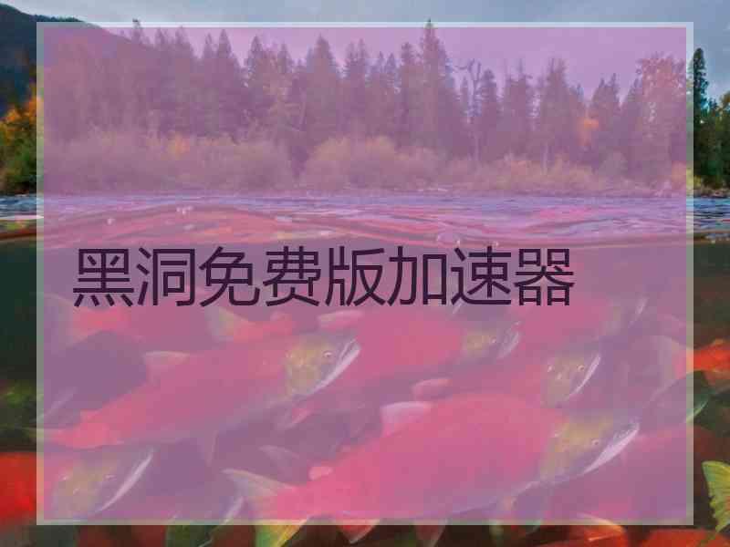 黑洞免费版加速器