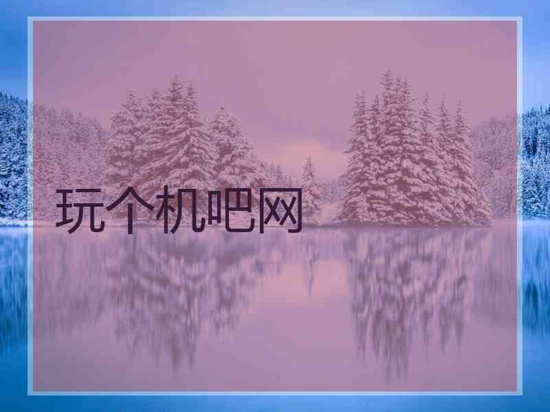 玩个机吧网
