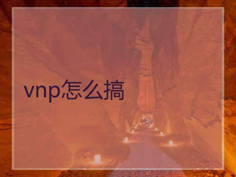 vnp怎么搞