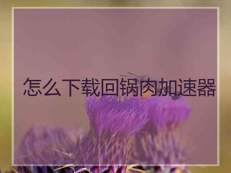 怎么下载回锅肉加速器
