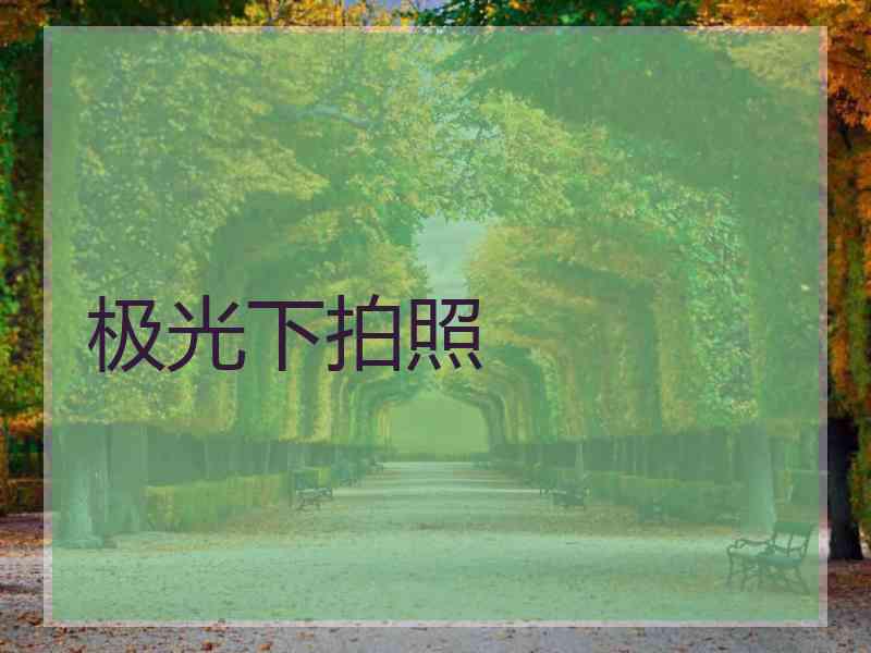 极光下拍照