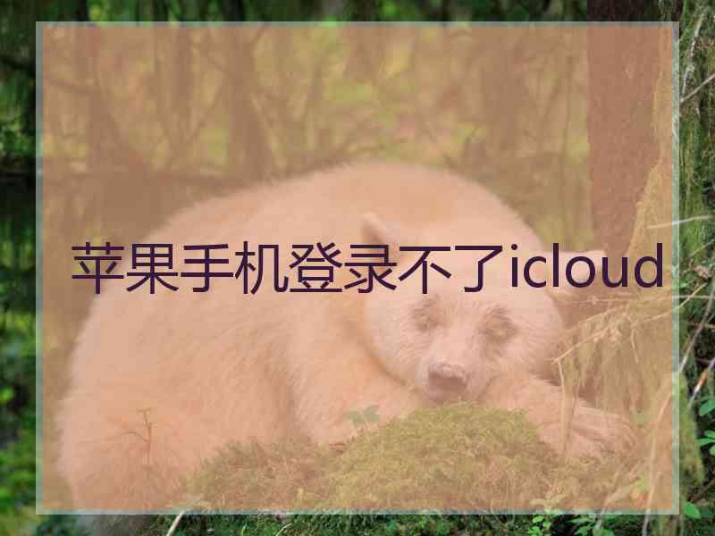苹果手机登录不了icloud