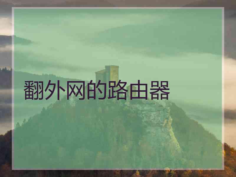 翻外网的路由器