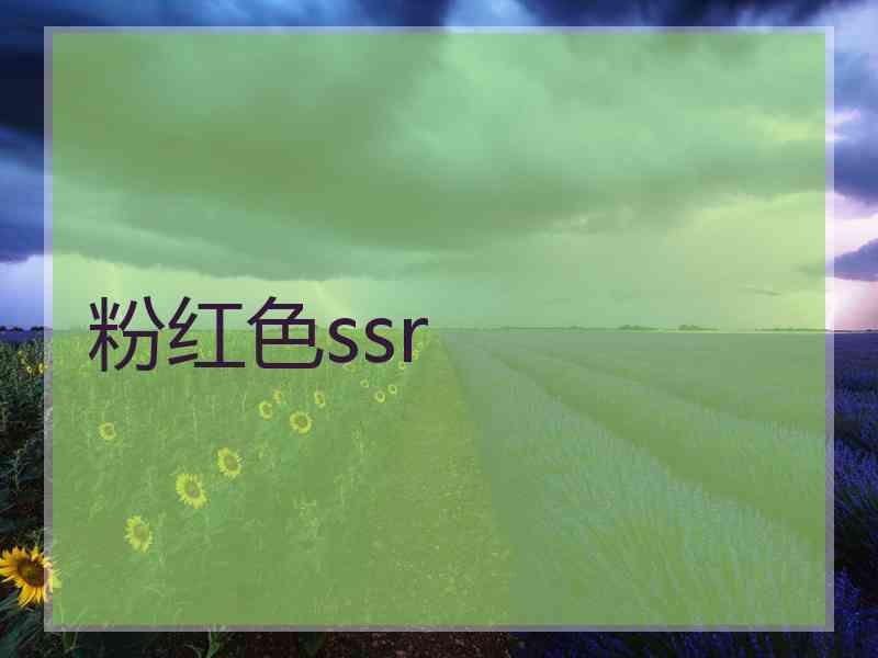 粉红色ssr