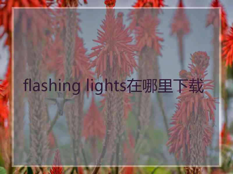 flashing lights在哪里下载