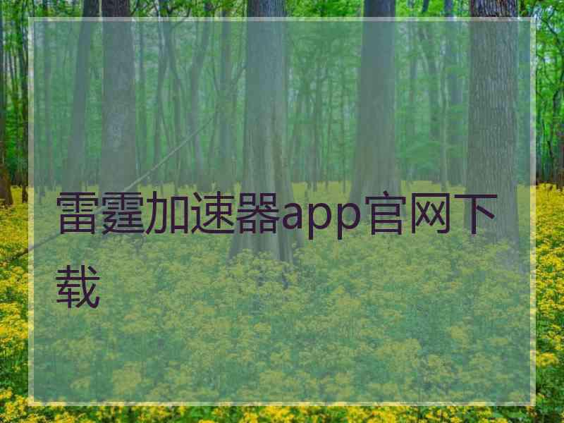雷霆加速器app官网下载