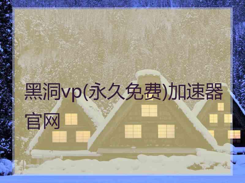 黑洞vp(永久免费)加速器官网