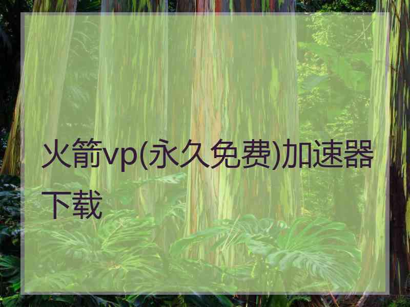 火箭vp(永久免费)加速器下载