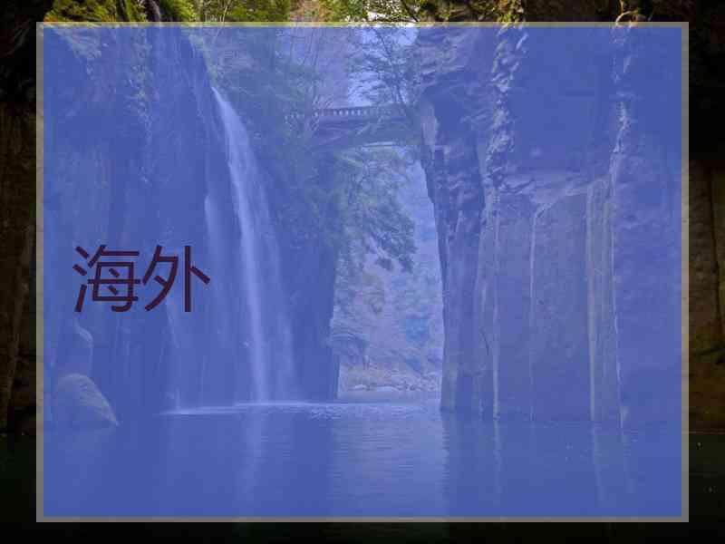 海外