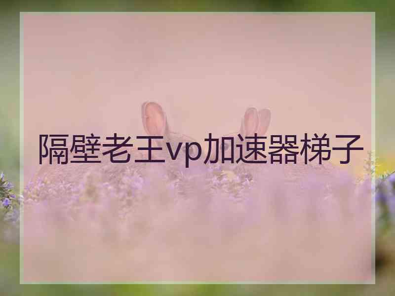 隔壁老王vp加速器梯子