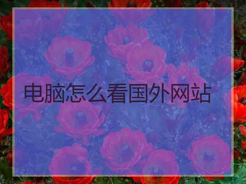 电脑怎么看国外网站