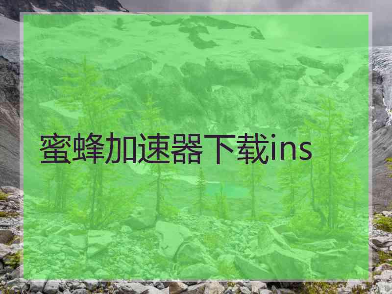 蜜蜂加速器下载ins