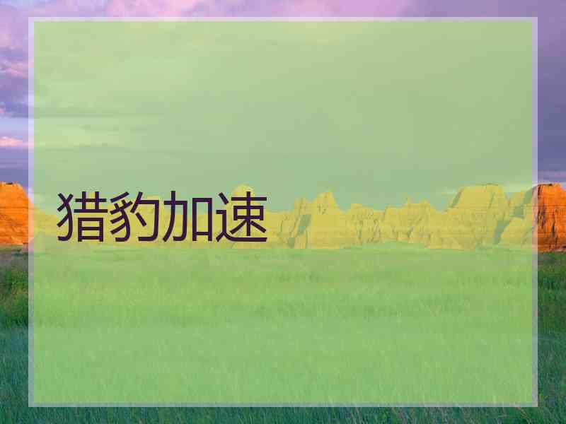 猎豹加速