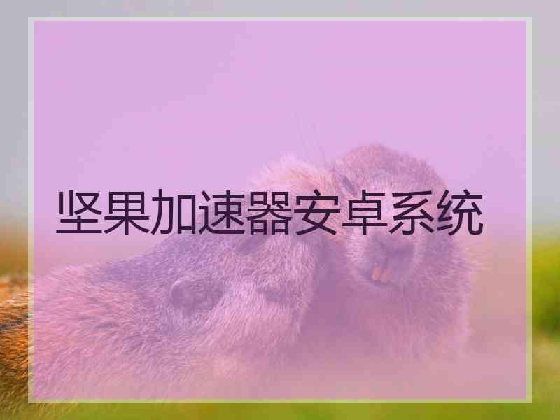 坚果加速器安卓系统