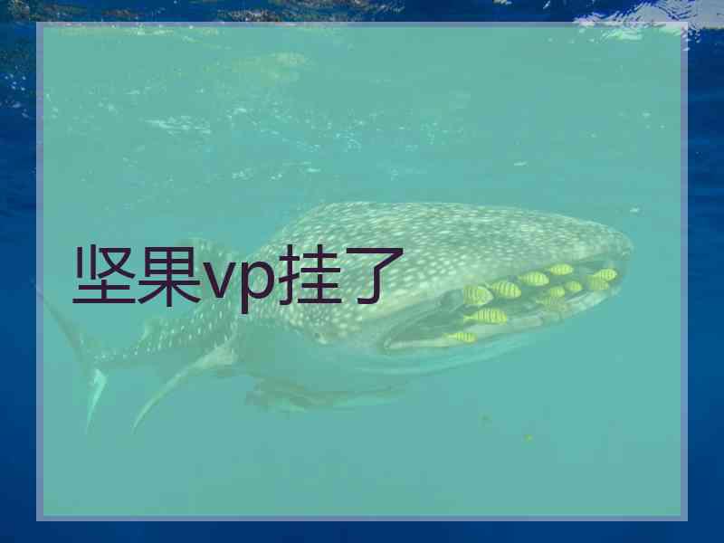 坚果vp挂了