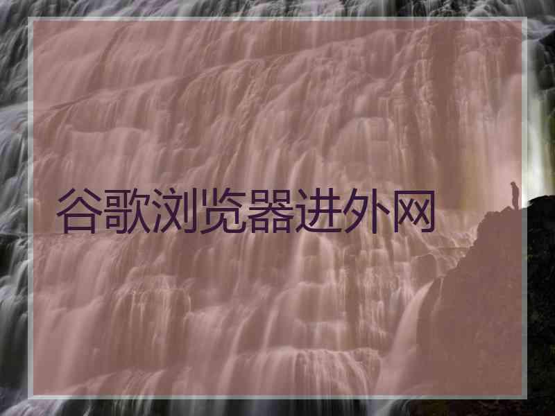 谷歌浏览器进外网