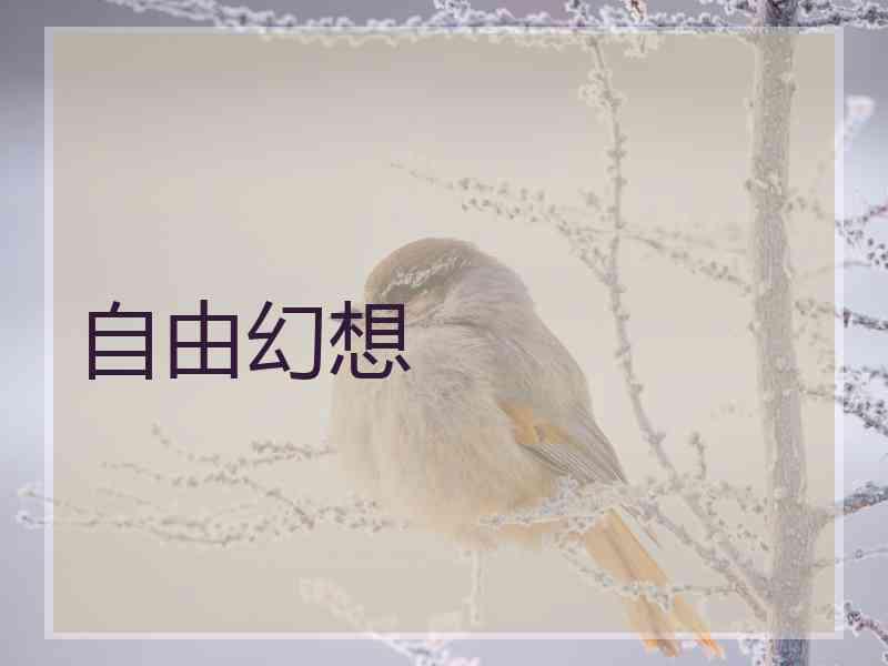 自由幻想