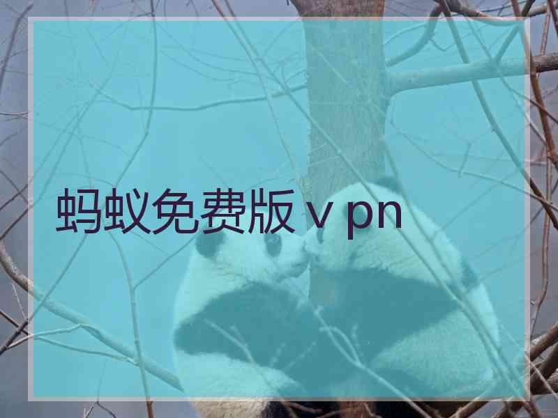 蚂蚁免费版ⅴpn