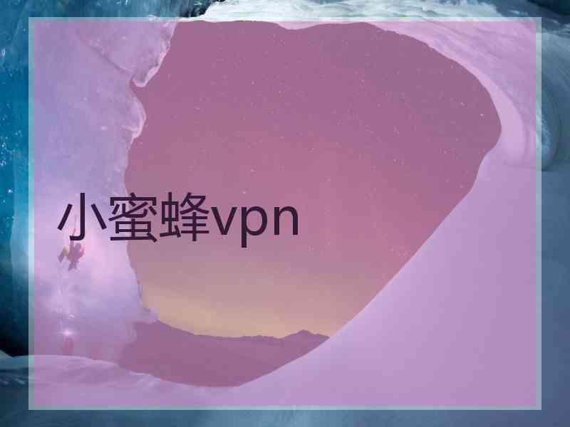 小蜜蜂vpn