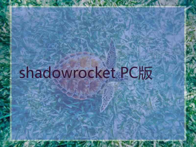 shadowrocket PC版