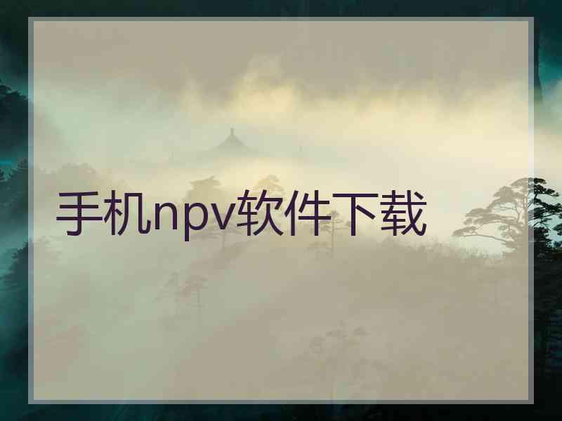 手机npv软件下载
