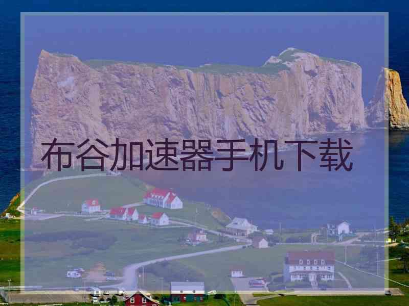 布谷加速器手机下载
