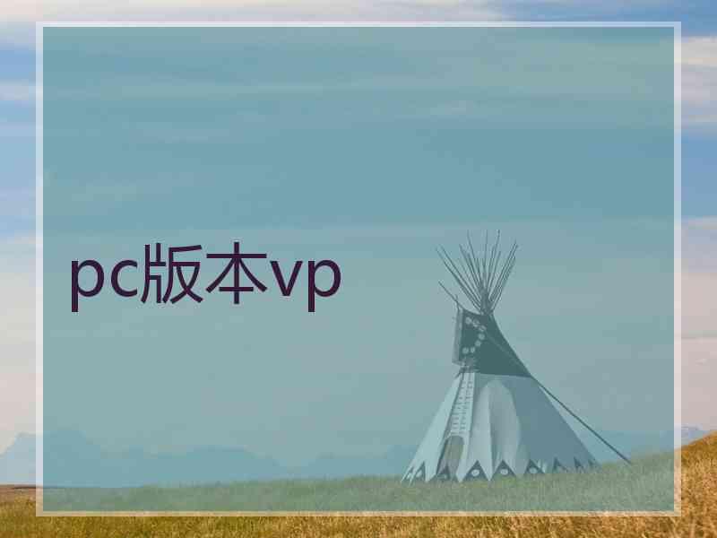 pc版本vp