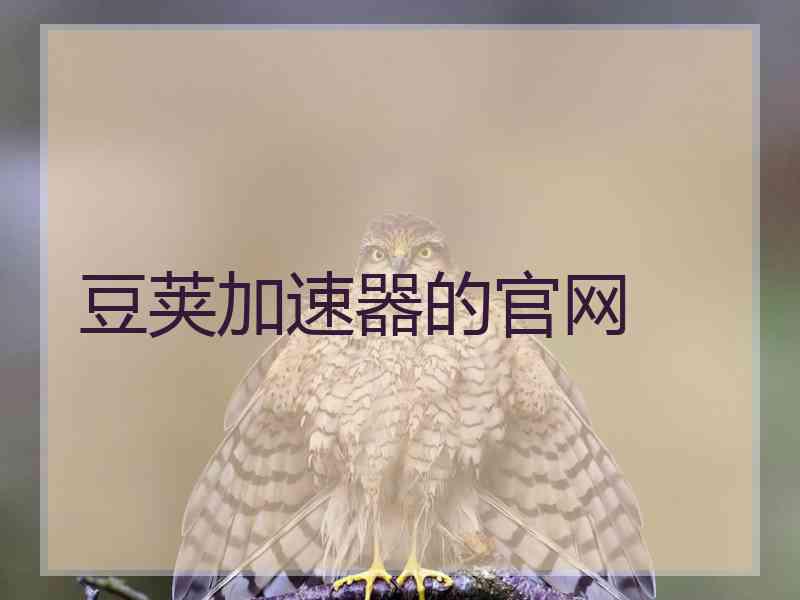 豆荚加速器的官网