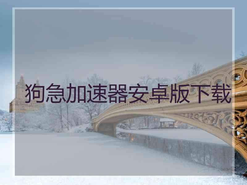 狗急加速器安卓版下载