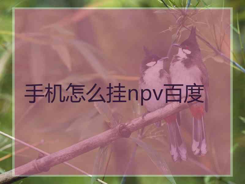 手机怎么挂npv百度