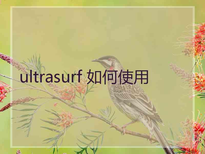 ultrasurf 如何使用