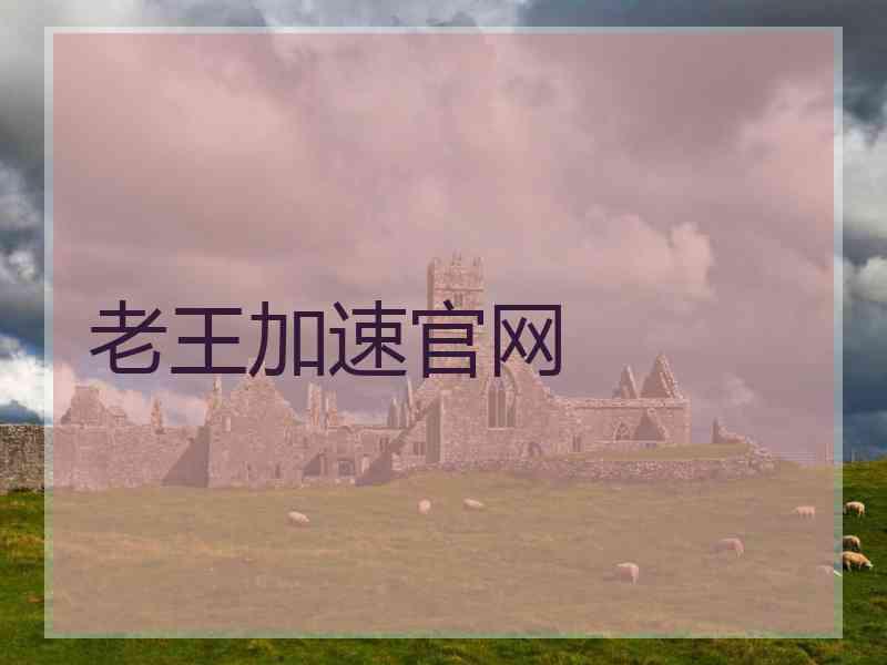 老王加速官网