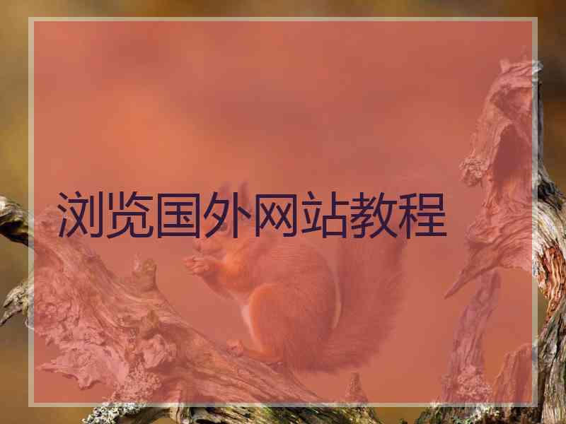 浏览国外网站教程