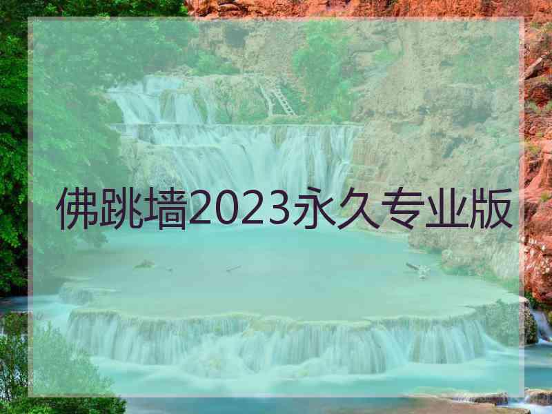 佛跳墙2023永久专业版