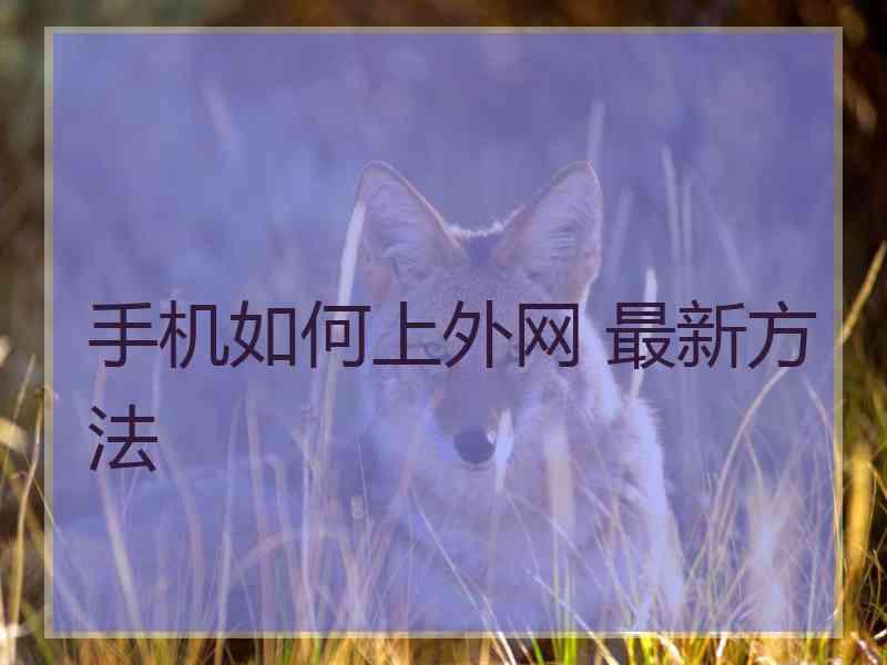 手机如何上外网 最新方法