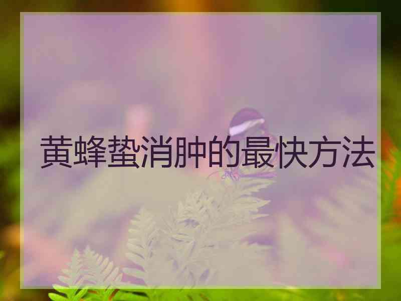 黄蜂蛰消肿的最快方法