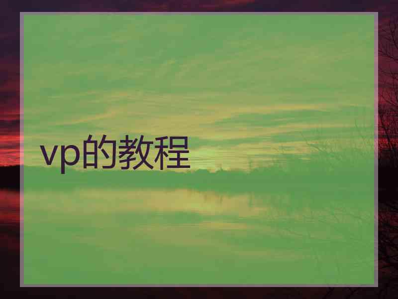 vp的教程