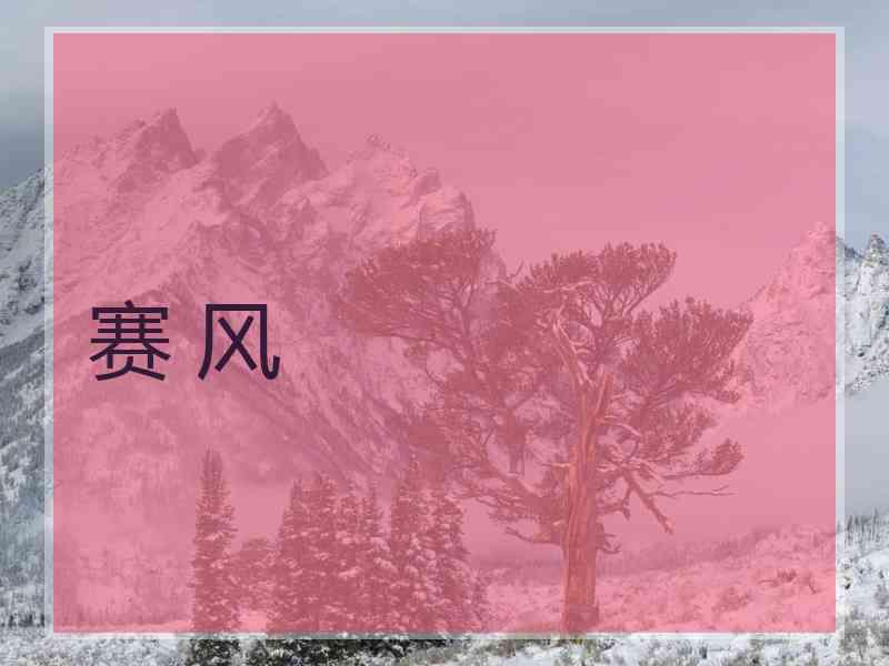 赛 风