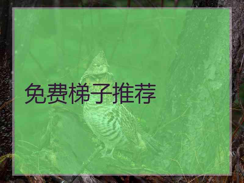 免费梯子推荐