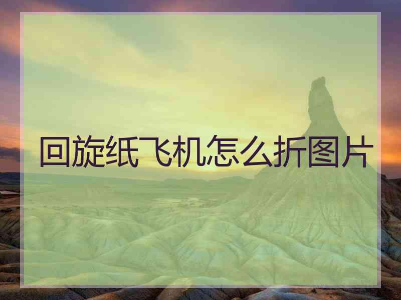 回旋纸飞机怎么折图片