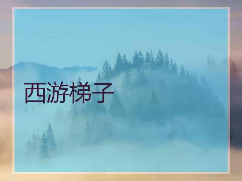 西游梯子