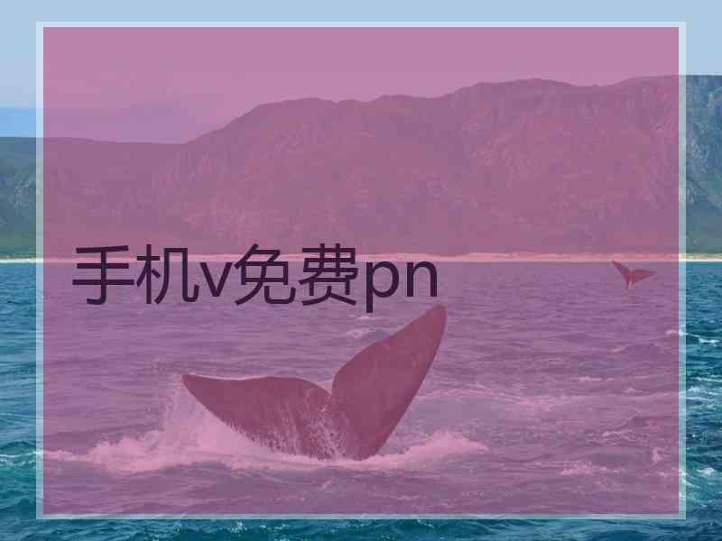 手机v免费pn