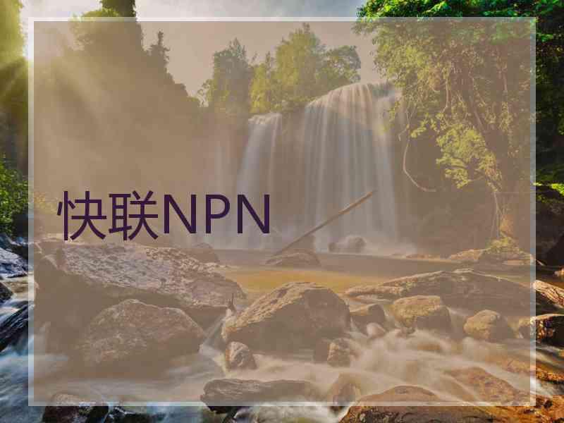 快联NPN